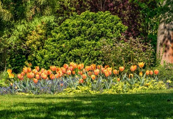 Meedoen met Open Tuinenweekend kan nog
