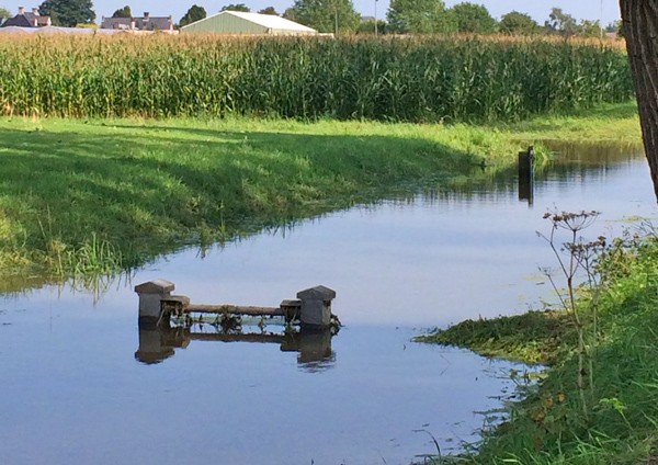Wateroverlast in de regio door regen