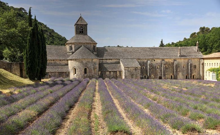 Ontdek de Provence: Frankrijks meest veelzijdige streek