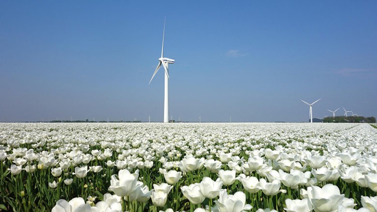 In deze stad in Nederland is de kans het grootst dat jouw motor wordt gestolen