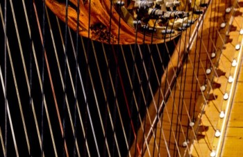 Duo Tiaire brengt harp en cello naar Heerewaarden