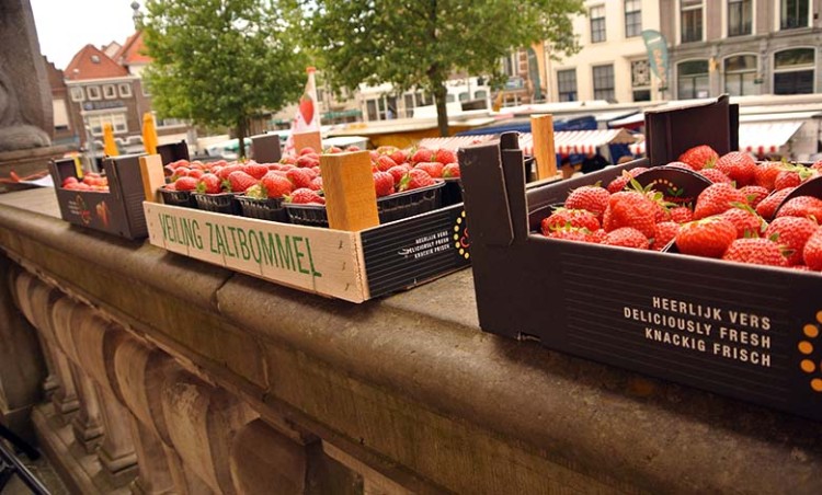 Tourist Info Bommelerwaard deelt aardbeien uit