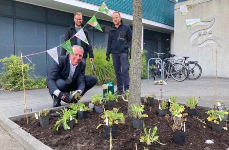 Wethouder beplant boomspiegel