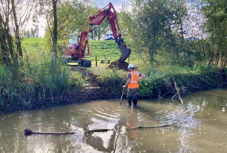 Beverhol gevonden in Waaldijk