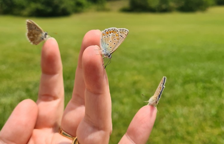 Jongeren adviseren over biodiversiteit en warmte-oplossingen
