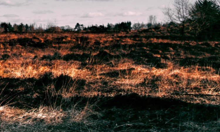Brandweer waarschuwt voor droogte en geeft Fase 2 af