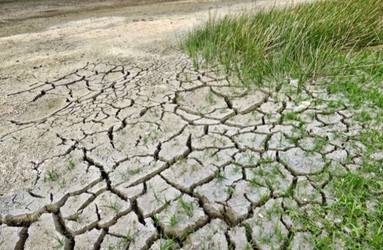 Ook de regio kampt met droogte en laagwater