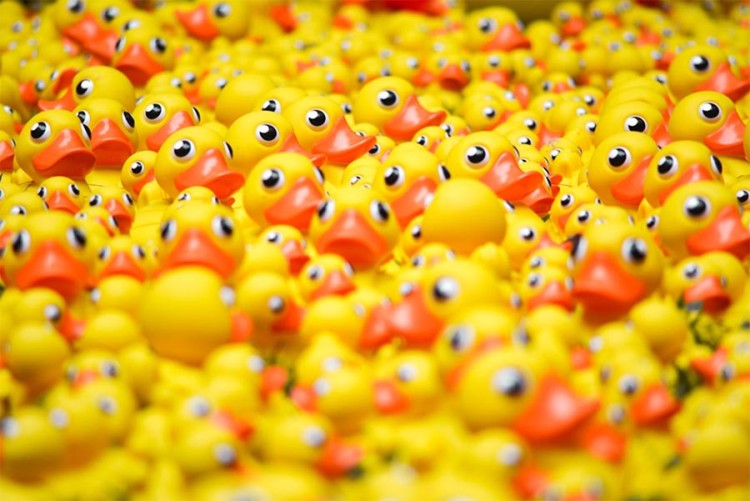 Doelen Duckrace 2024 bekend