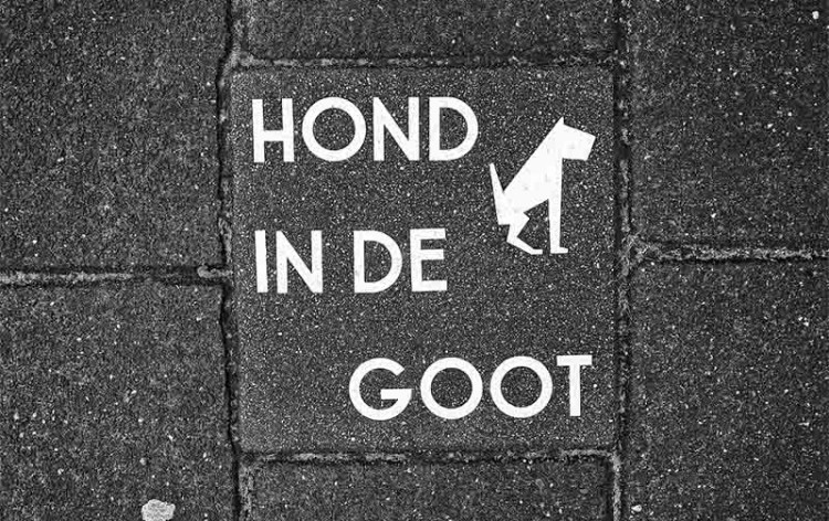 Dorpsraad Aalst baalt van hondenpoep op de stoep