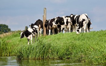 Beleef de boerderij