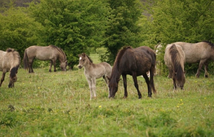 Struintocht voor kinderen in Munnikenland