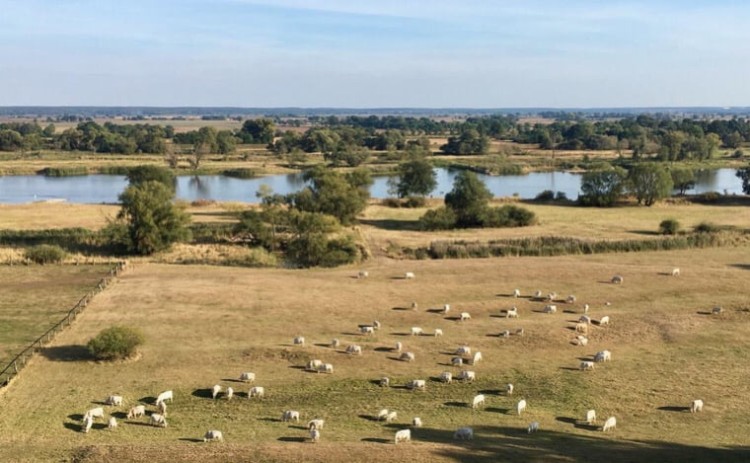 Het blijft droog, watervraag neemt weer toe