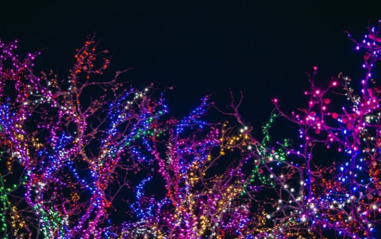 Lichtjesfestijn Kerkwijk