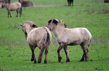 Struintocht Munnikenland