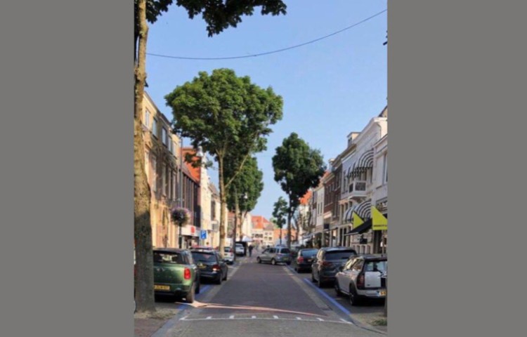 Organisatie Bommelweek: ‘Kom te voet, OV of per fiets