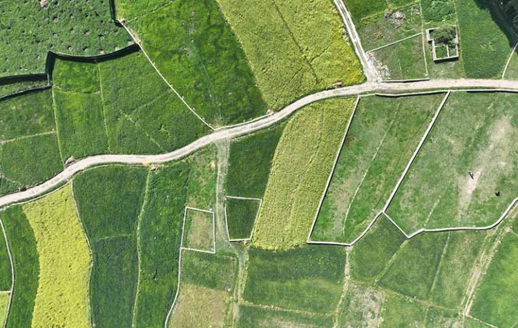 Is er sprake van "landje pik" in de gemeente Maasdriel?