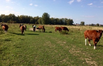 Avondstruintocht door Munnikenland