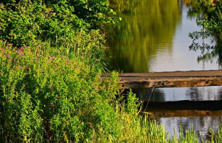 Waterschap onderzoekt lozingen glastuinbouw