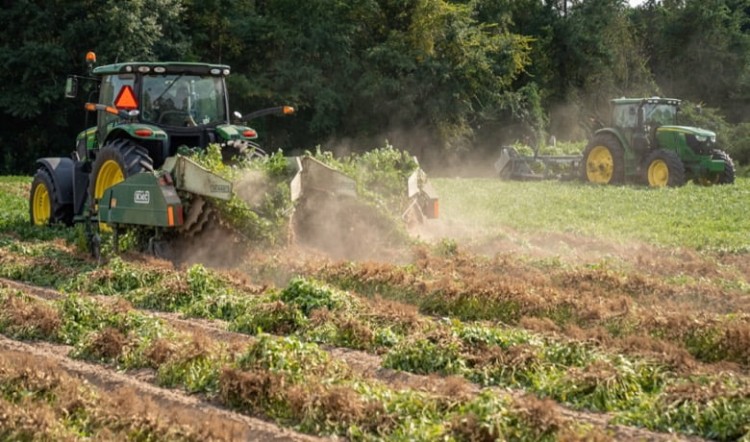 Gelderland kiest eigen aanpak stikstofproblematiek