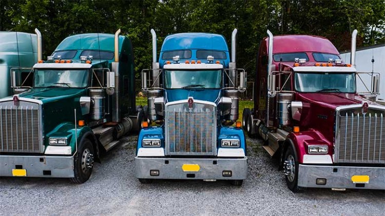 Truckshow Nederhemert 2026