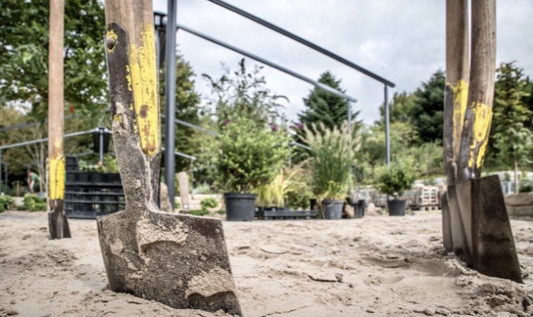 Infoavond beplantingsproject buitengebied - CANCELLED