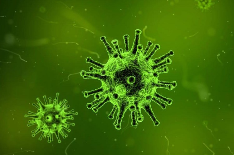 WZC De Leyenstein kampt met norovirus