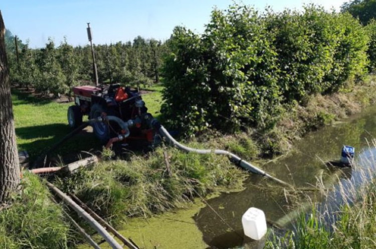 Waterschap vraagt agrariërs slangen uit sloten te verwijderen