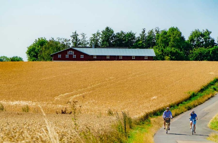 Fietstocht Zaltbommel/Rossum