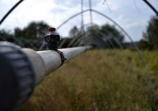 'Herstructurering Tuinbouw Bommelerwaard' winnaar Gelderse Ruimtelijke Kwaliteit