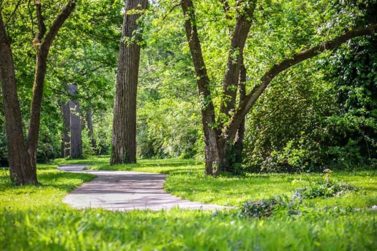 Gemeente gaat plan maken voor Herdenkingsbos in Zaltbommel