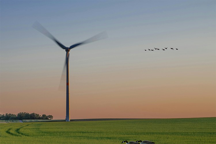 Bewoners willen ‘geen nieuwe windturbines bij Hedel!’