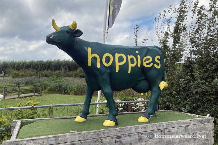 OVM Familiedag bij de Hoppies