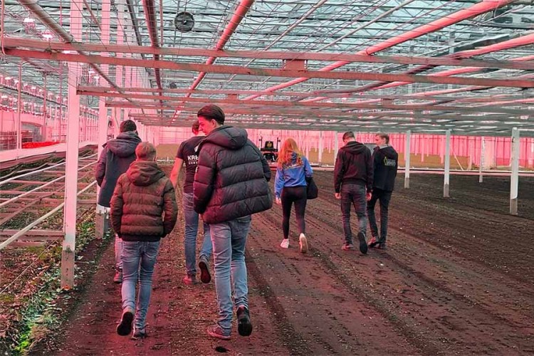 Leerlingen Curio Andel bezoeken Diamond Flowers Zuilichem