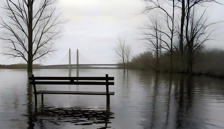 Tijdelijke Hoogwaterwinkel opent in Zaltbommel