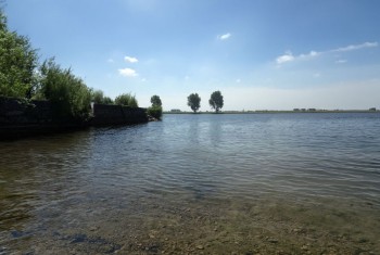 Geen extra ruimte voor de rivier nodig bij Alem en Hedel