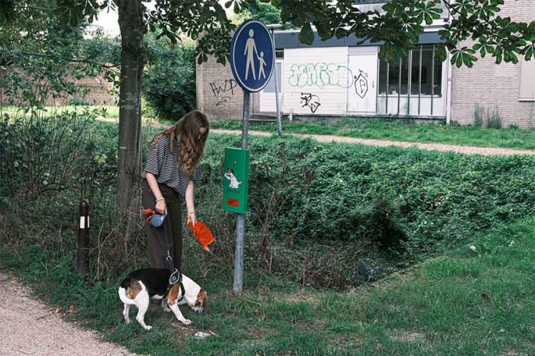 Stadspark kreeg poepzakjesautomaat in de strijd tegen de drollen