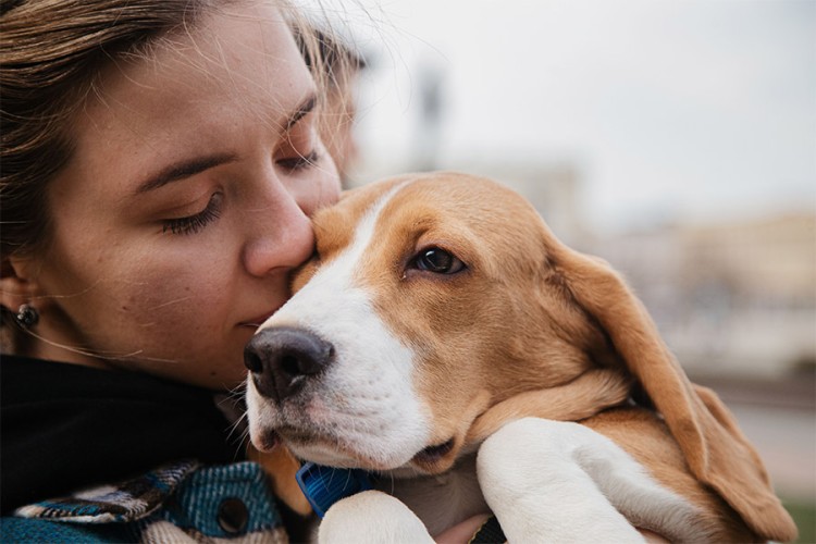Dierenasiel in Bruchem zoekt vrijwilligers