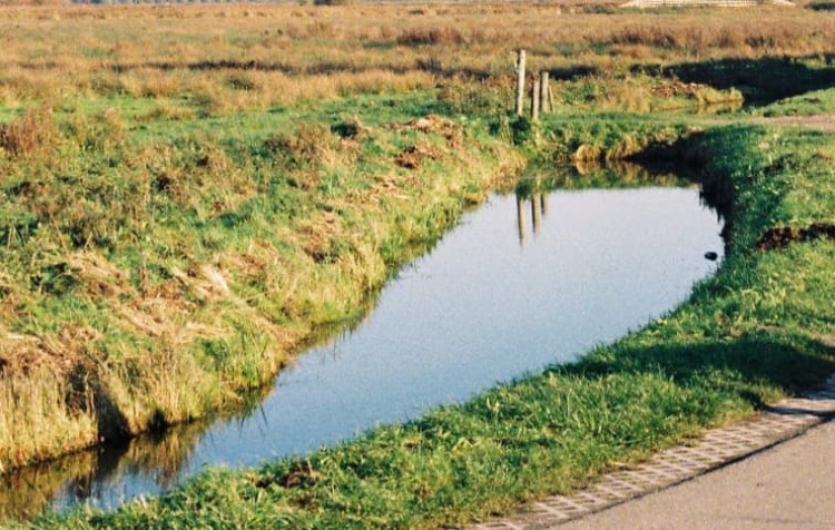 Waterschap start jaarlijkse controle van het onderhoud aan sloten