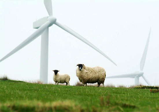 Zaltbommel neemt verantwoordelijkheid voor eigen energiebehoefte